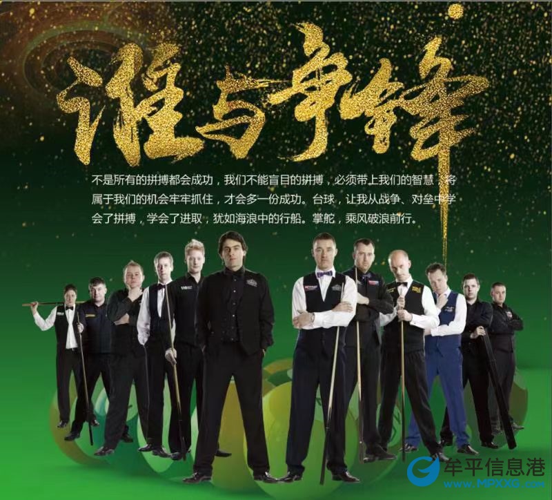 臺(tái)球助教服務(wù)員