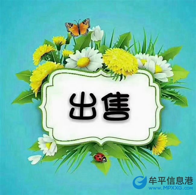 出售東泰百合公館電梯房，毛坯，南向
