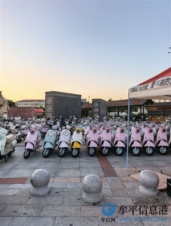 招聘養(yǎng)馬島租車人員